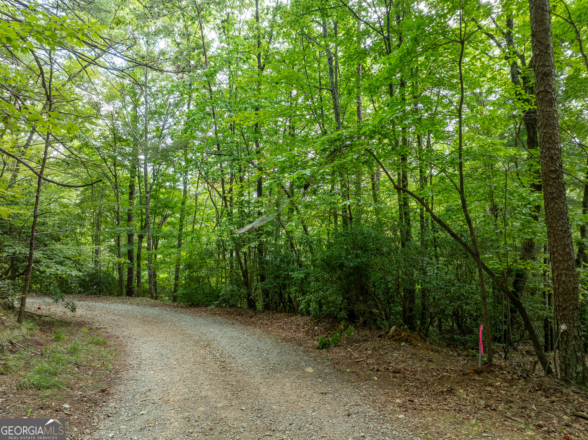 476 Prince Mountain Road Cherry Log, GA 30522 - Photo 68 of 80 a view of a forest with trees in the background