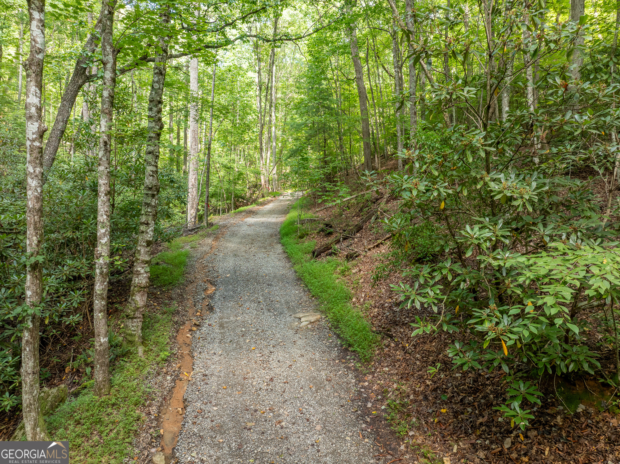 476 Prince Mountain Road Cherry Log, GA 30522 - Photo 69 of 80 a view of a yard with plants and large trees