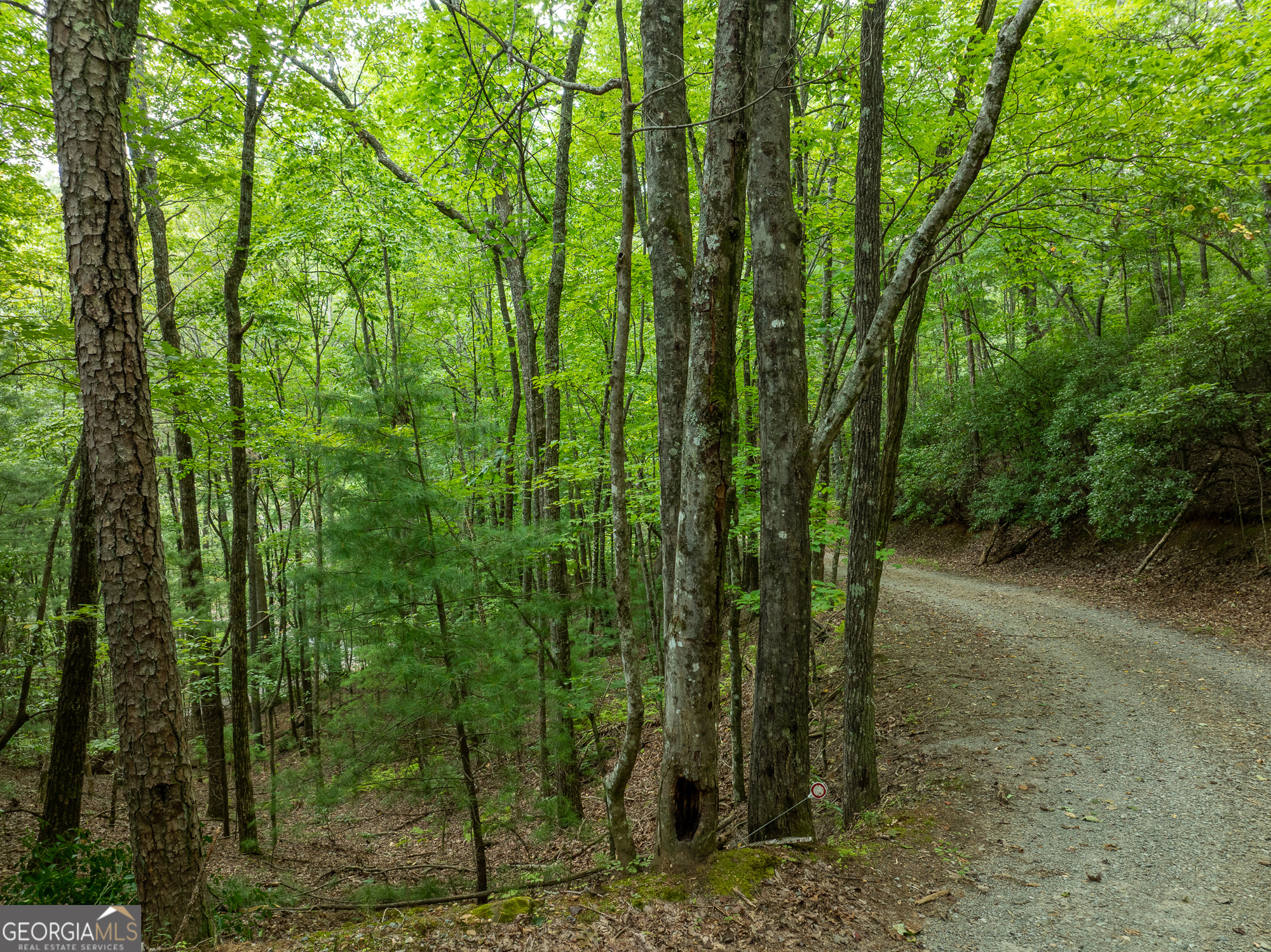 476 Prince Mountain Road Cherry Log, GA 30522 - Photo 70 of 80 a view of a garden