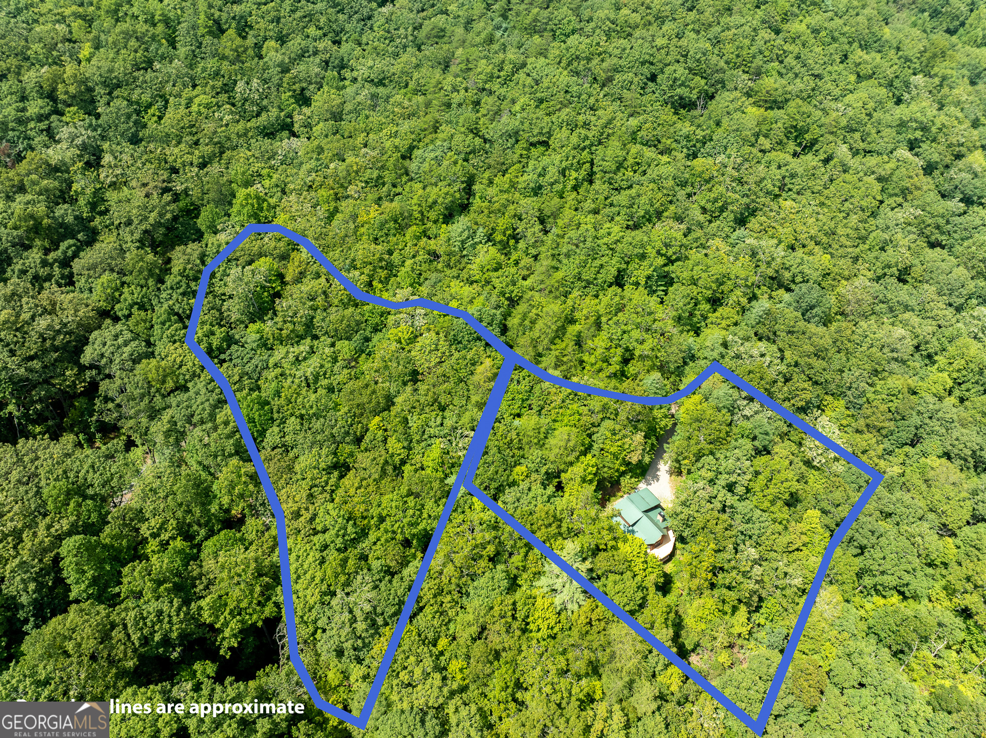 476 Prince Mountain Road Cherry Log, GA 30522 - Photo 71 of 80 a backyard of a house with lots of green space and trees