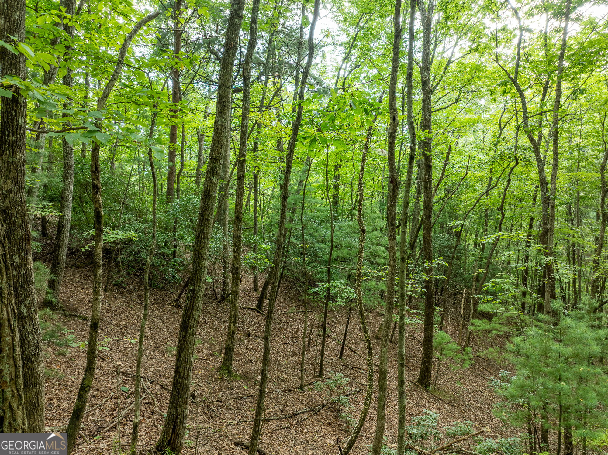 476 Prince Mountain Road Cherry Log, GA 30522 - Photo 72 of 80