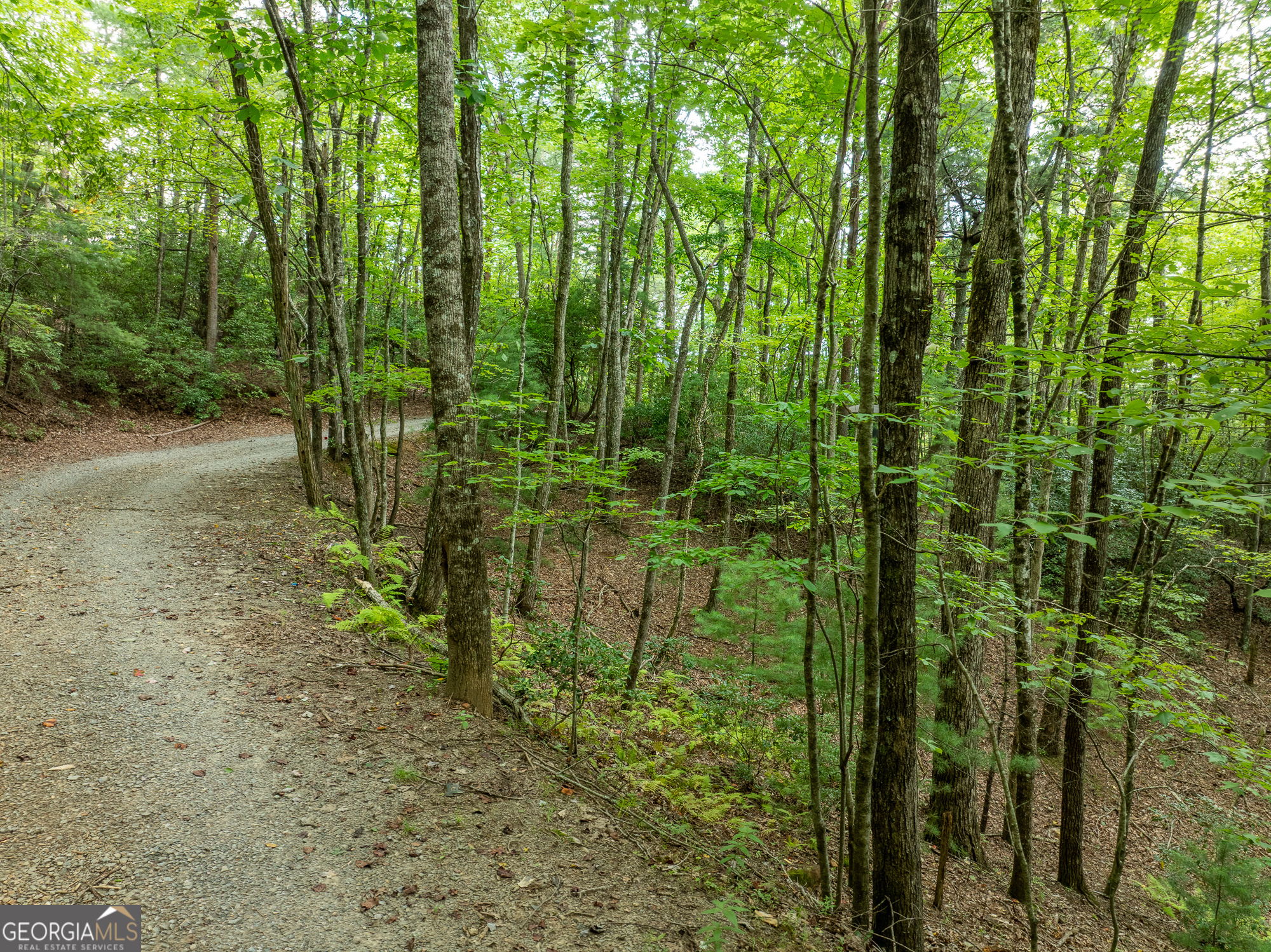 476 Prince Mountain Road Cherry Log, GA 30522 - Photo 73 of 80
