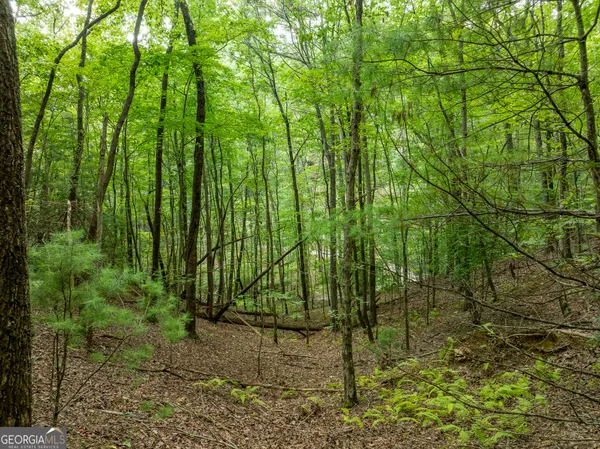 $739,000 | 476 Prince Mountain Road, Cherry Log, GA 30522