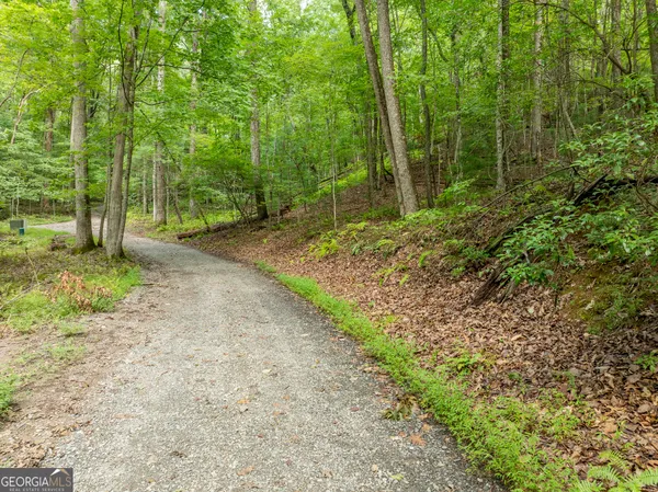 $739,000 | 476 Prince Mountain Road, Cherry Log, GA 30522