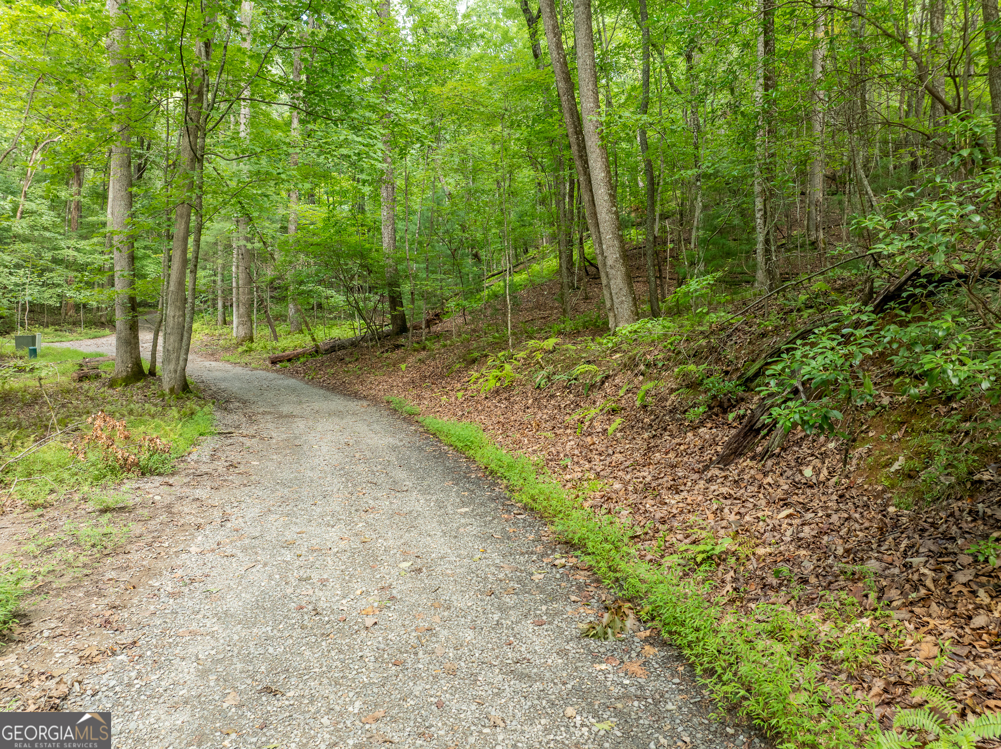 476 Prince Mountain Road Cherry Log, GA 30522 - Photo 75 of 80