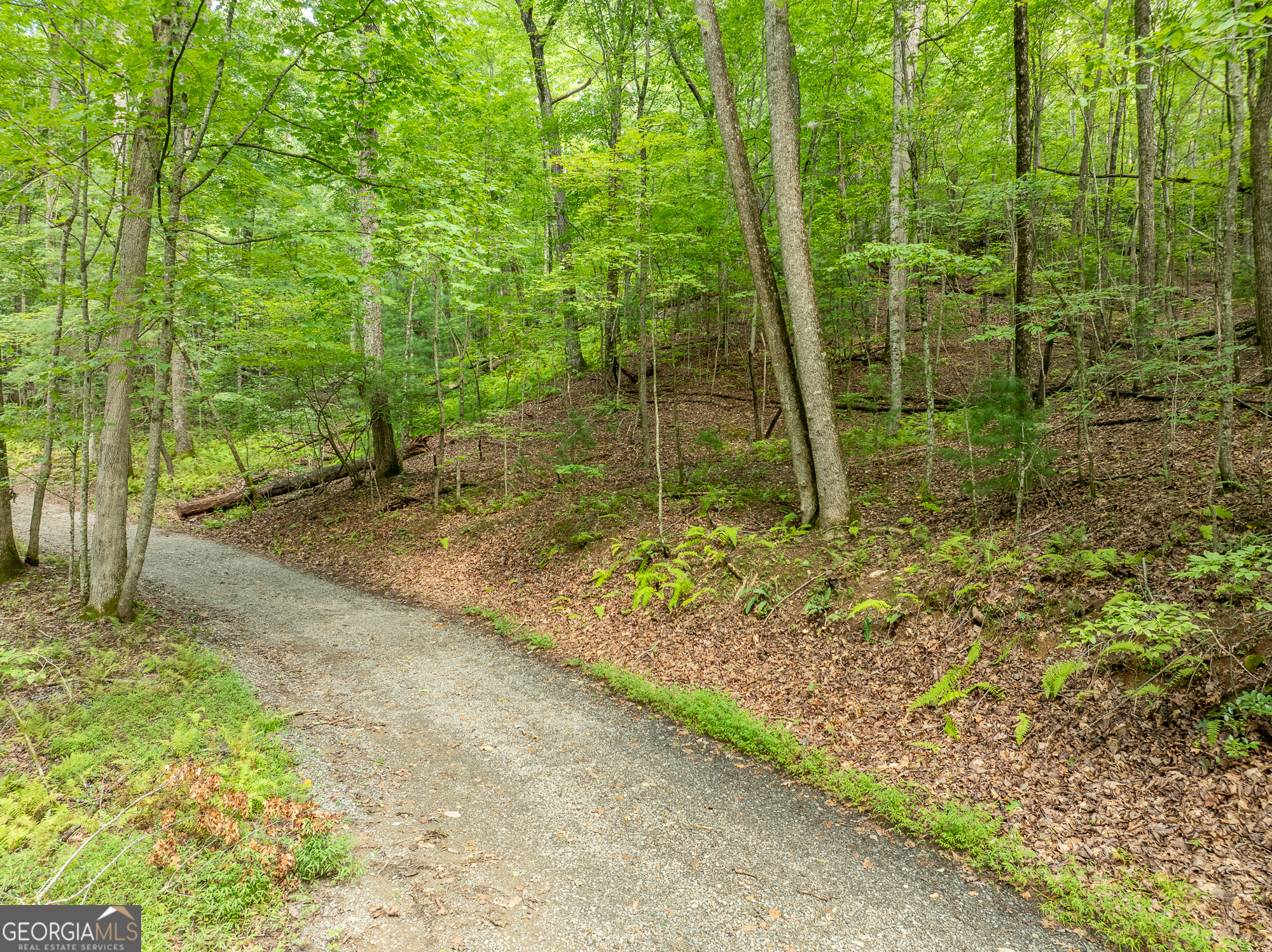 476 Prince Mountain Road Cherry Log, GA 30522 - Photo 76 of 80