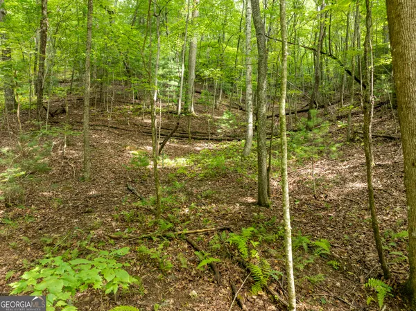 $739,000 | 476 Prince Mountain Road, Cherry Log, GA 30522