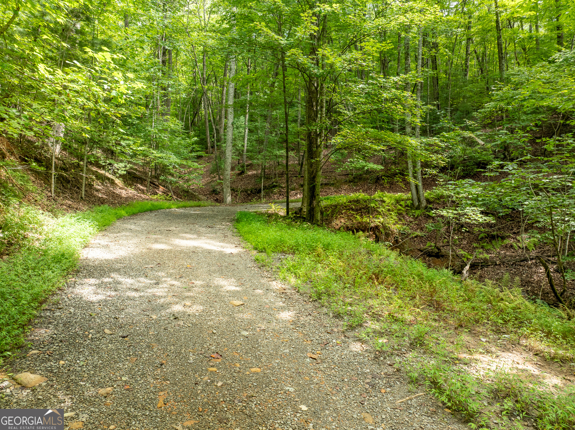 476 Prince Mountain Road Cherry Log, GA 30522 - Photo 78 of 80 a view of a yard with plants and large trees