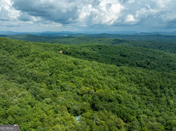 $739,000 | 476 Prince Mountain Road, Cherry Log, GA 30522