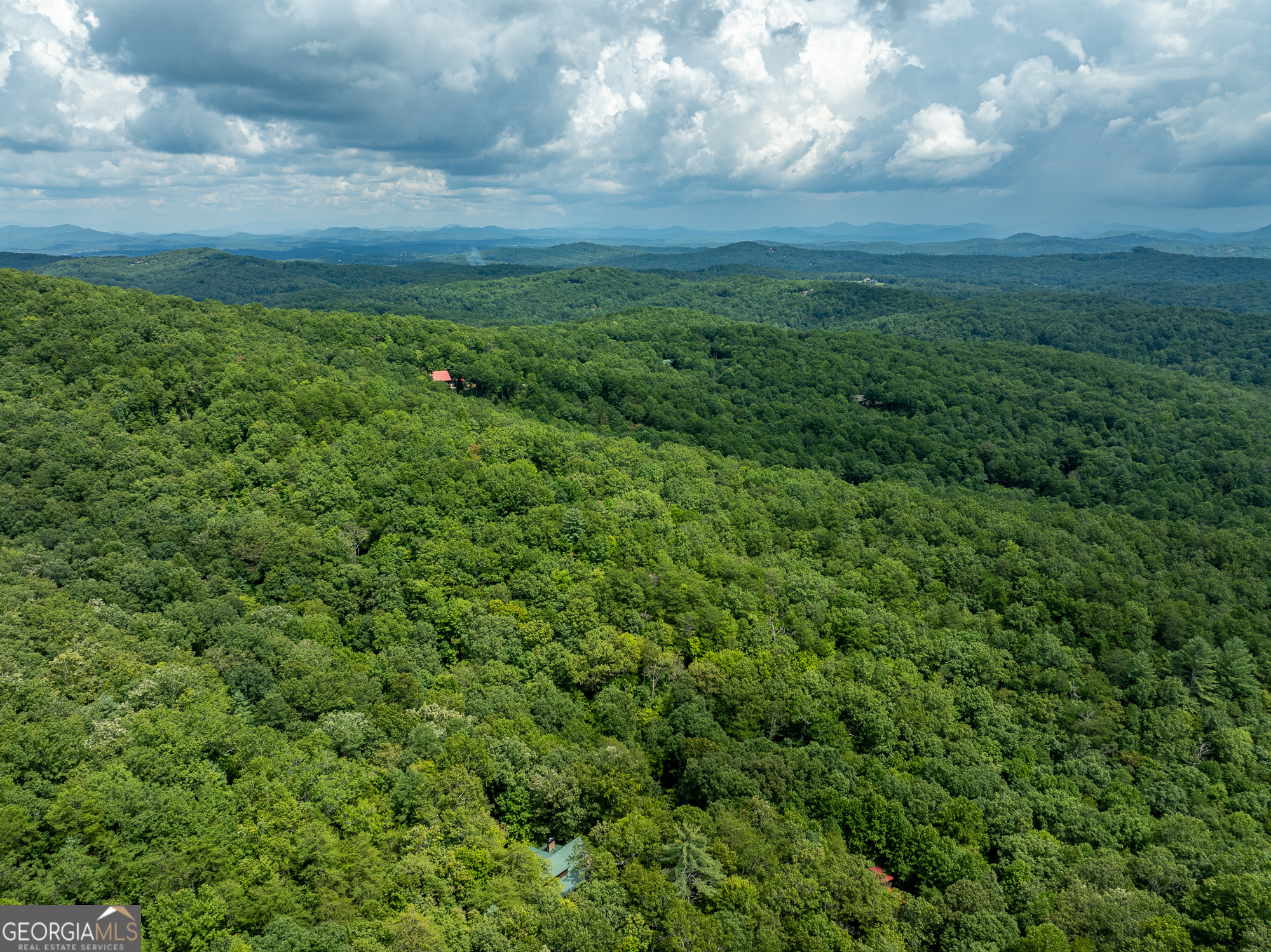 476 Prince Mountain Road Cherry Log, GA 30522 - Photo 79 of 80 a view of a big yard with lots of green space