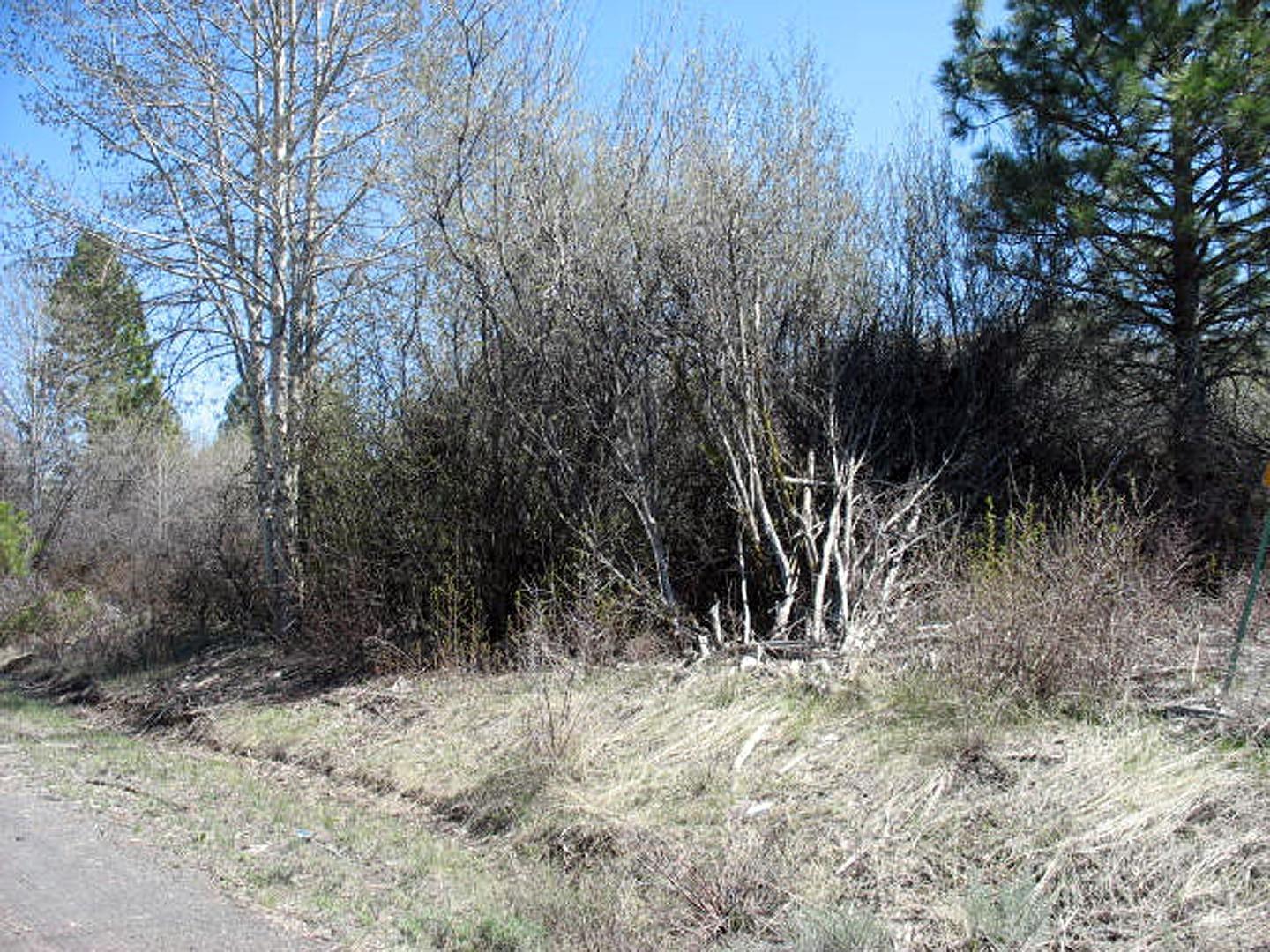 1 Lakeland Road Chiloquin, OR 97624 - Photo 2 of 7 Additional Photo