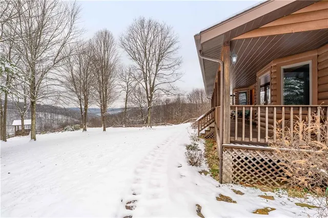 a view of a dry yard with a tree