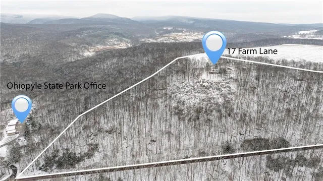 $850,000 | 17 Farm Lane, Ohiopyle, PA 15470