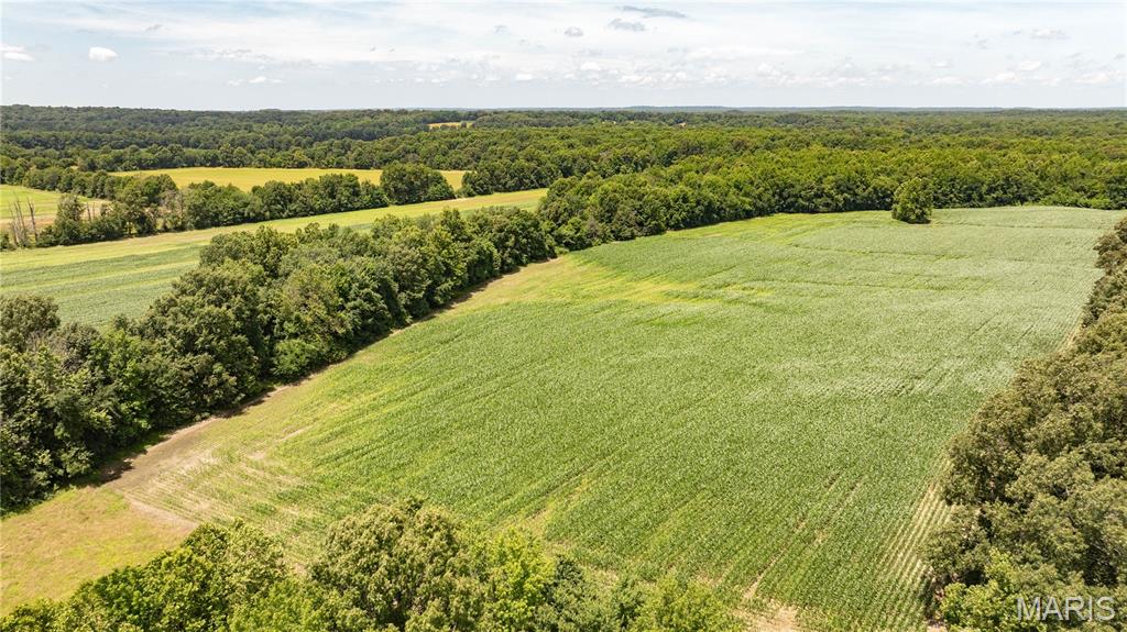 9480 Battleford Road Stonefort, IL 62987 - Photo 16 of 54