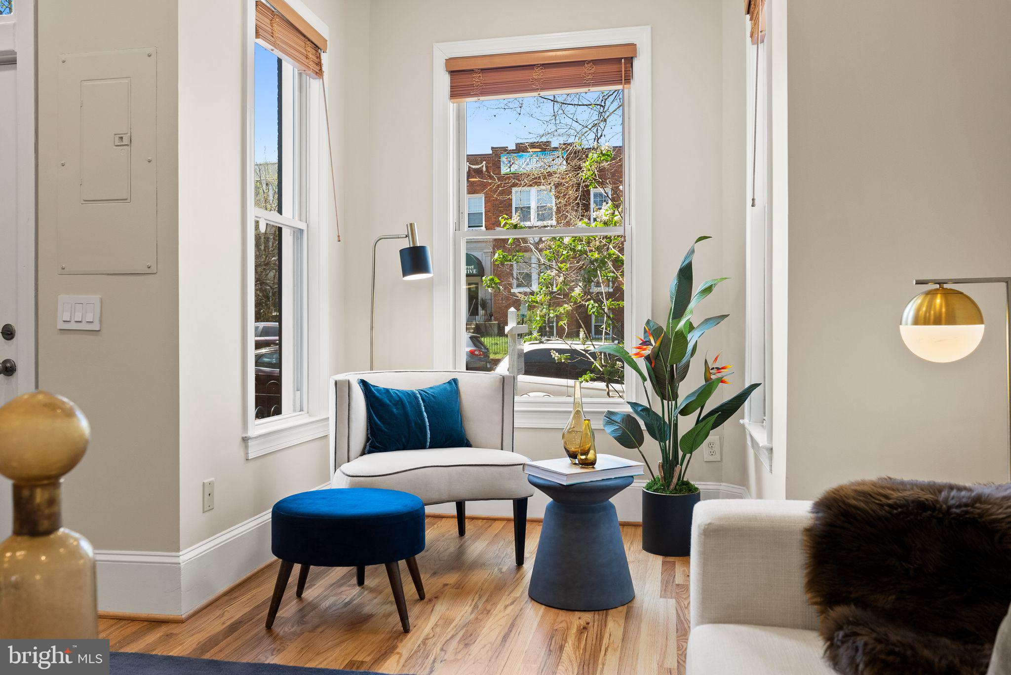 633 12th Street Northeast Washington, DC 20002 - Photo 8 of 44 a living room with furniture and a potted plant