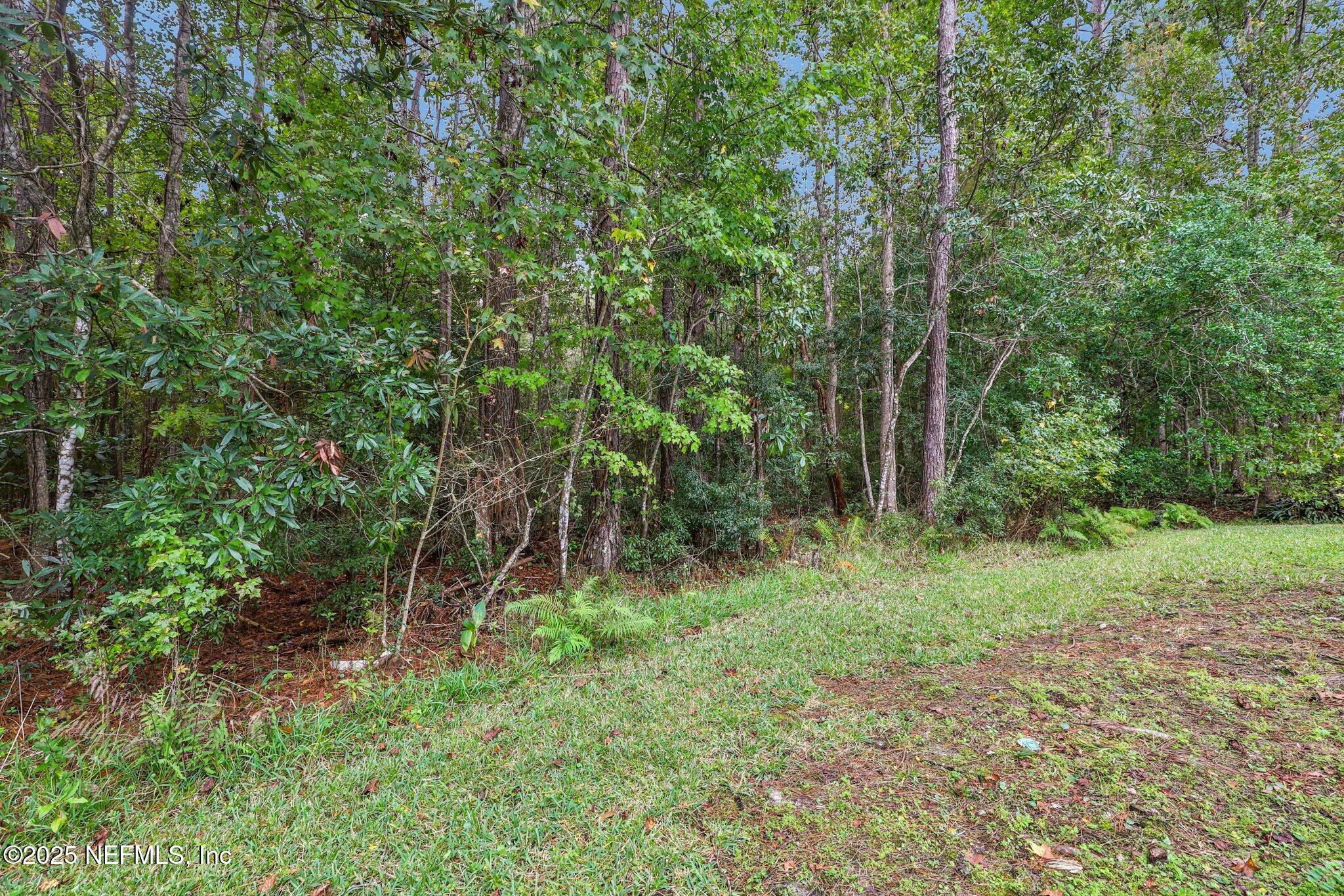 125 Pinehurst Pointe Drive St. Augustine, FL 32092 - Photo 48 of 75 Wooded backyard