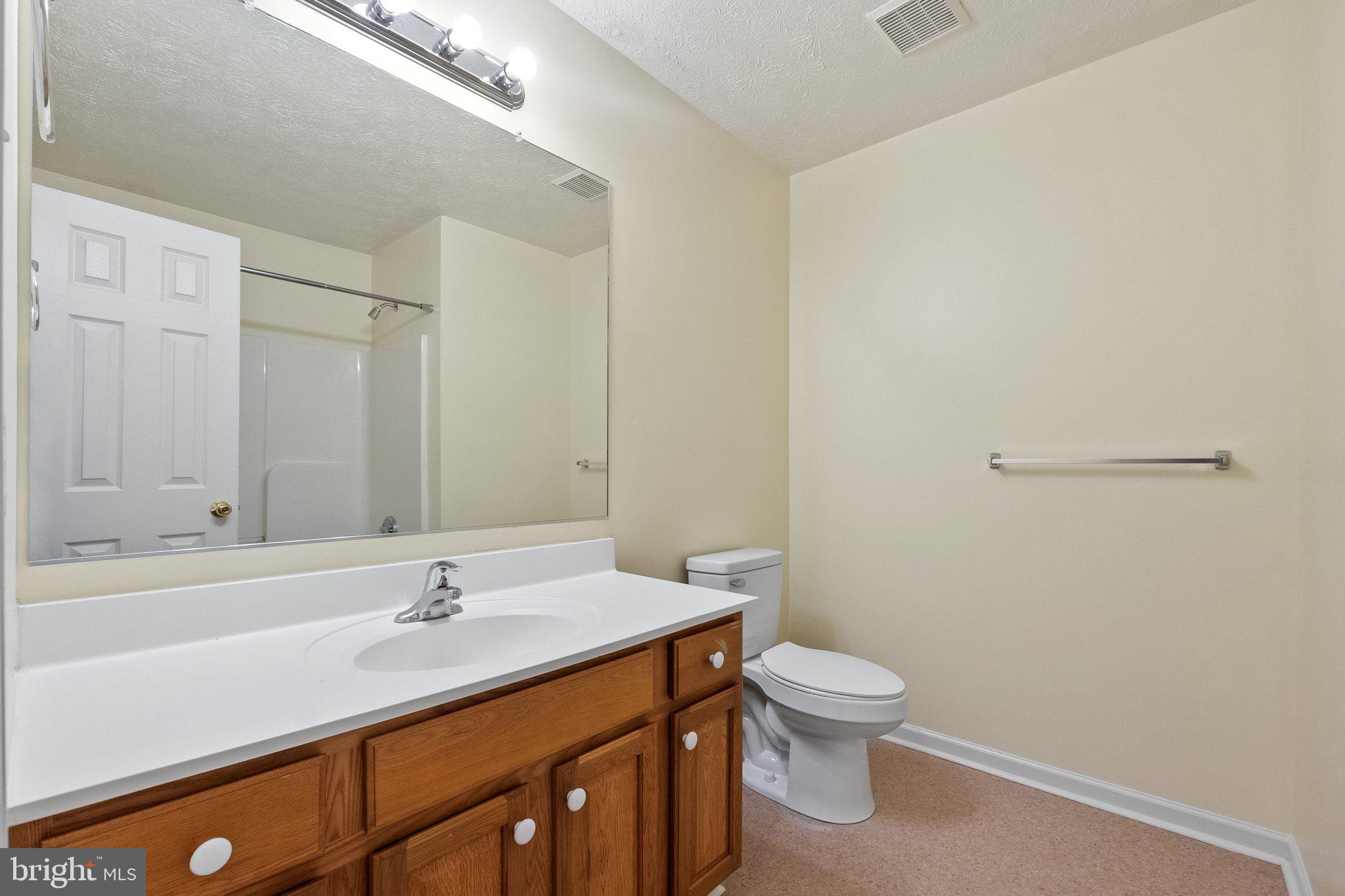 209 Ridgefield Avenue Stephens City, VA 22655 - Photo 16 of 31 Second full bath on main level
