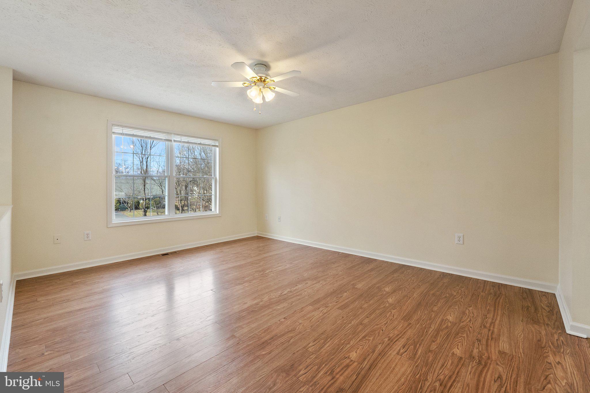 209 Ridgefield Avenue Stephens City, VA 22655 - Photo 4 of 31 Lots of usable space