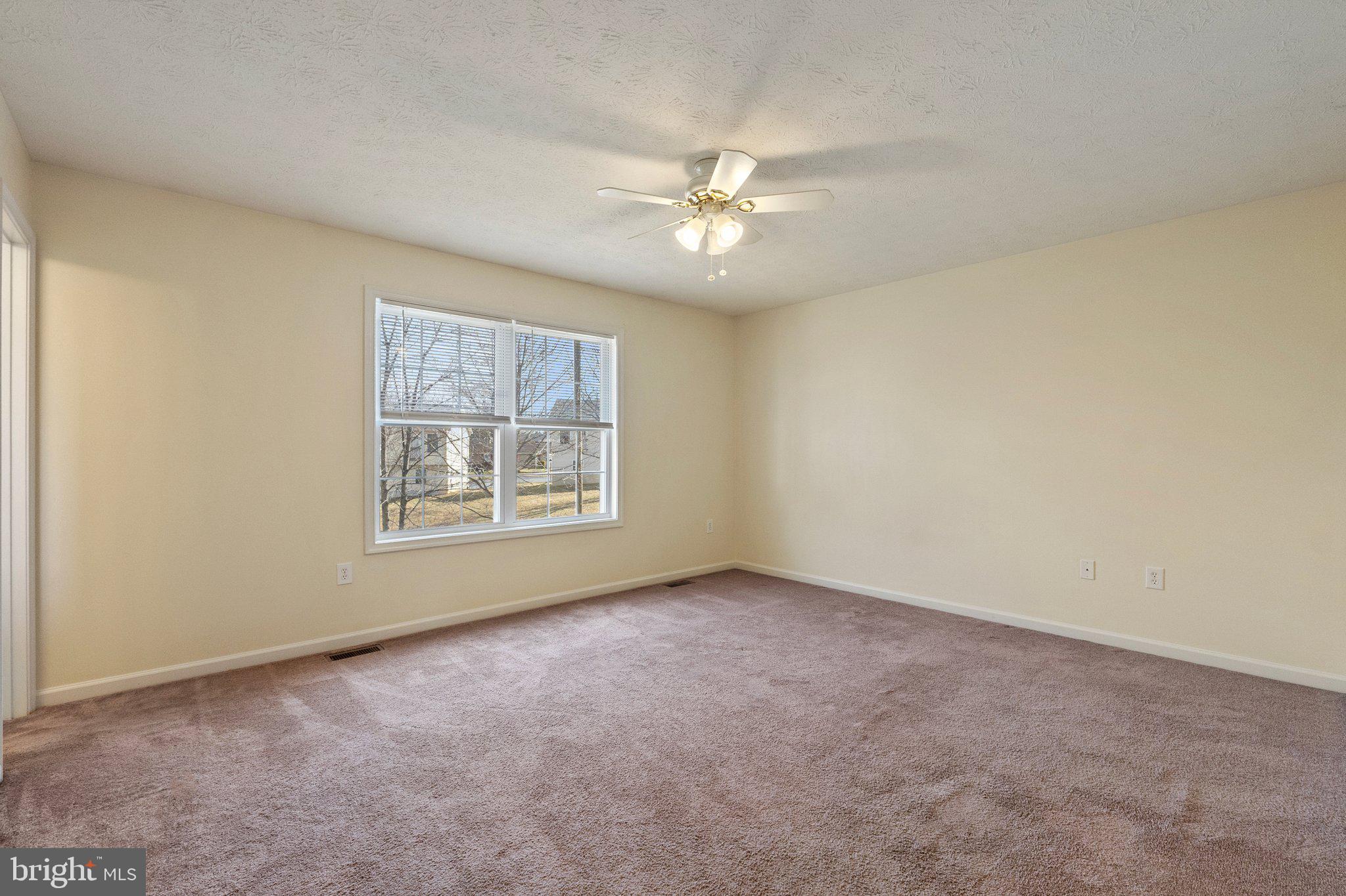 209 Ridgefield Avenue Stephens City, VA 22655 - Photo 10 of 31 Spacious primary bedroom