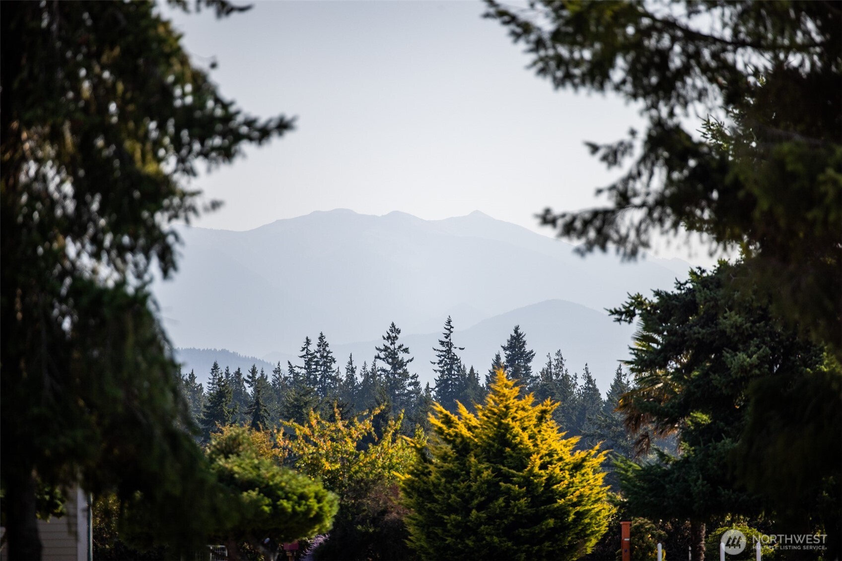 195 Laura Lane Sequim, WA 98382 - Photo 11 of 32 a view of a lake with a mountain in the background