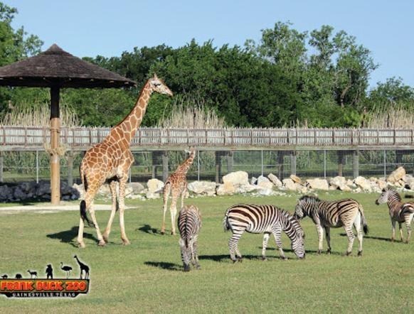 0 County Road 237 Gainesville, TX 76240 - Photo 13 of 14 a view of a swimming pool with sitting area