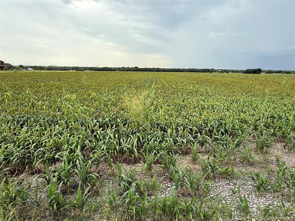0 County Road 237 Gainesville, TX 76240 - Photo 2 of 14 a view of an ocean and beach