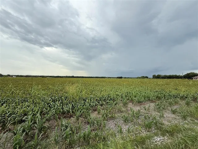 a view of yard and ocean
