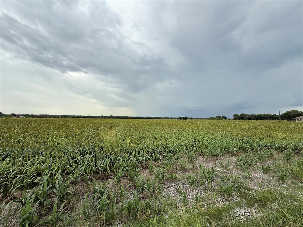 0 County Road 237 Gainesville, TX 76240 - Photo 3 of 14 a view of yard and ocean