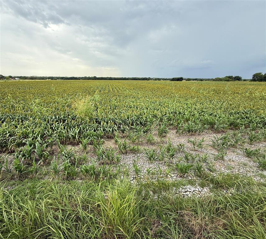 0 County Road 237 Gainesville, TX 76240 - Photo 5 of 14 a view of an ocean