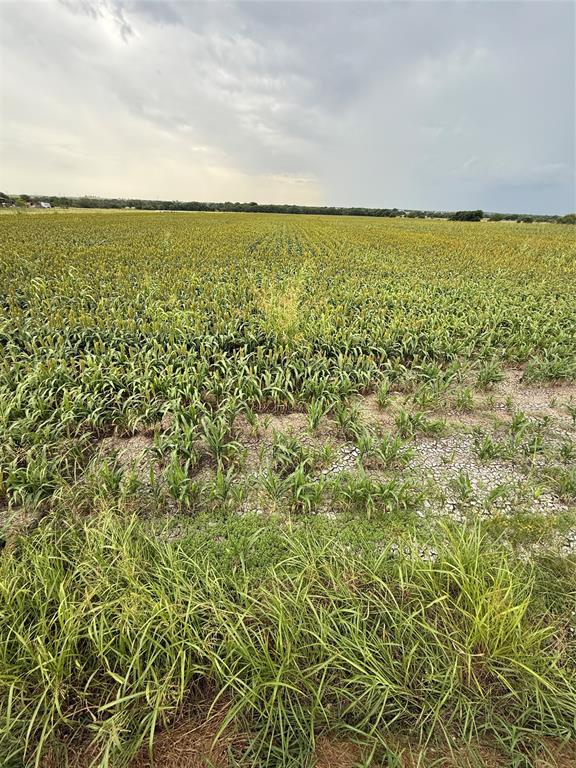 0 County Road 237 Gainesville, TX 76240 - Photo 6 of 14 a view of an ocean