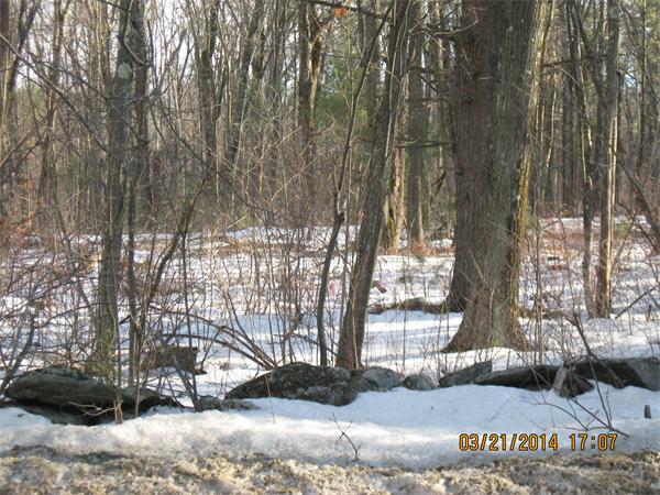 C Prescott Street Rutland, MA 01543 - Photo 6 of 10 Gallery Image 6