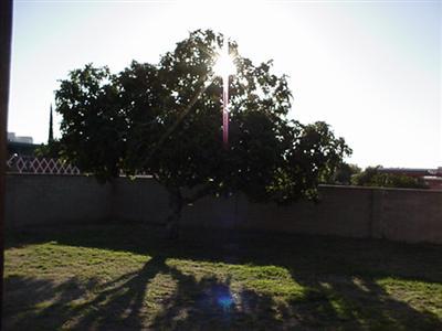 9712 East Sellarole Road Tucson, AZ 85730 - Photo 8 of 10