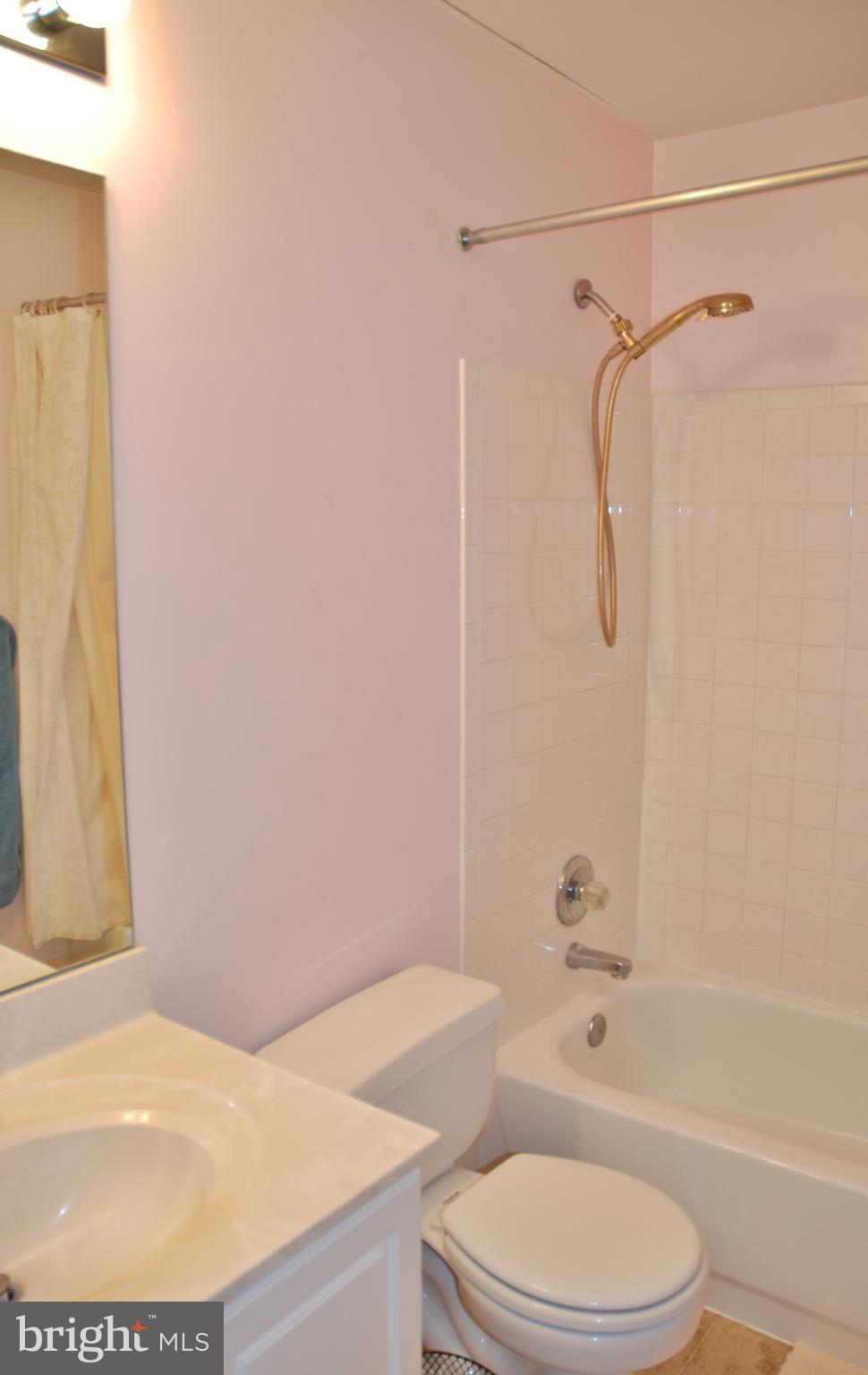 15127 Deer Valley Terrace Silver Spring, MD 20906 - Photo 16 of 29 Hall Bathroom
