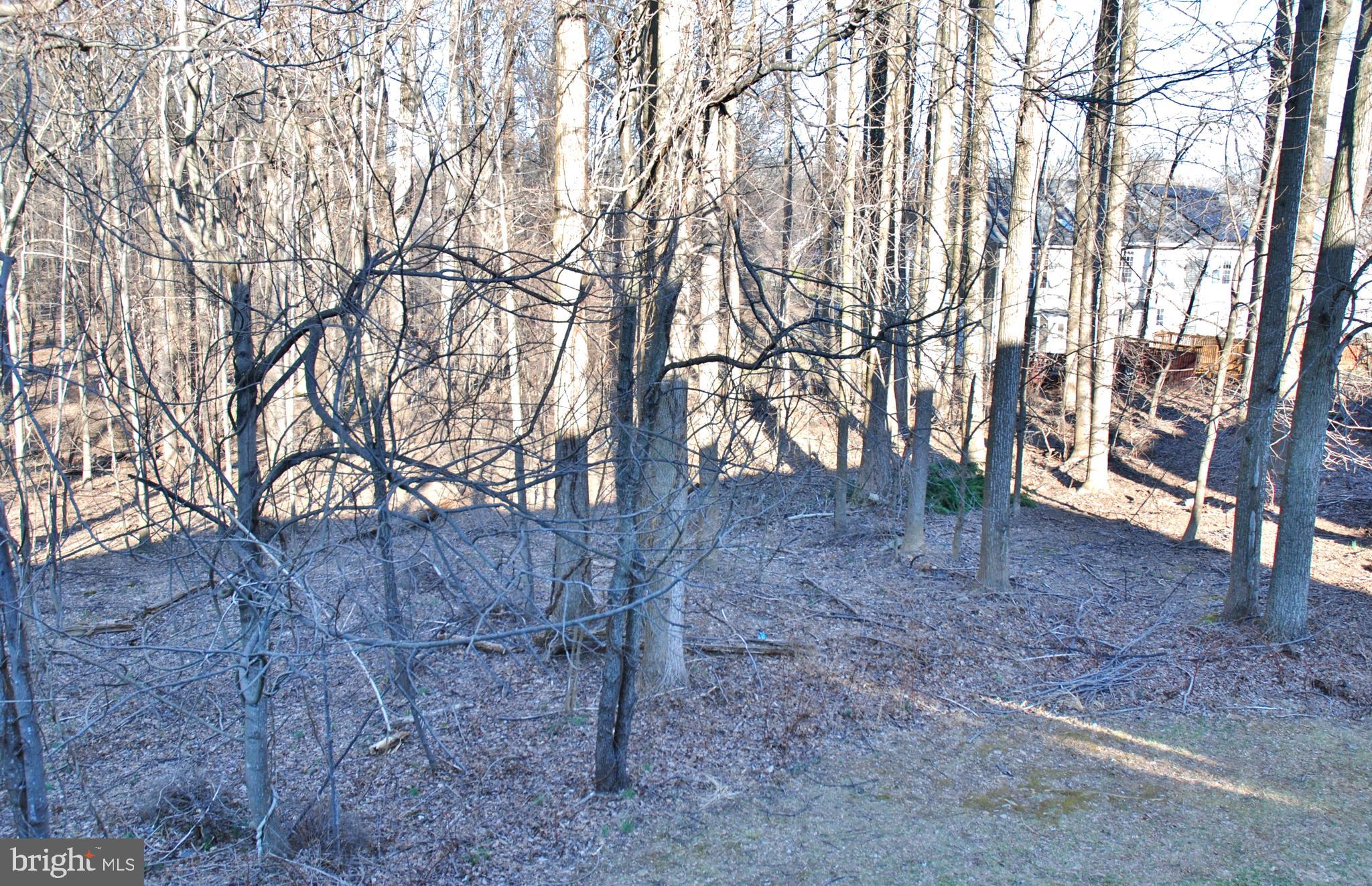 15127 Deer Valley Terrace Silver Spring, MD 20906 - Photo 29 of 29 View of Woods