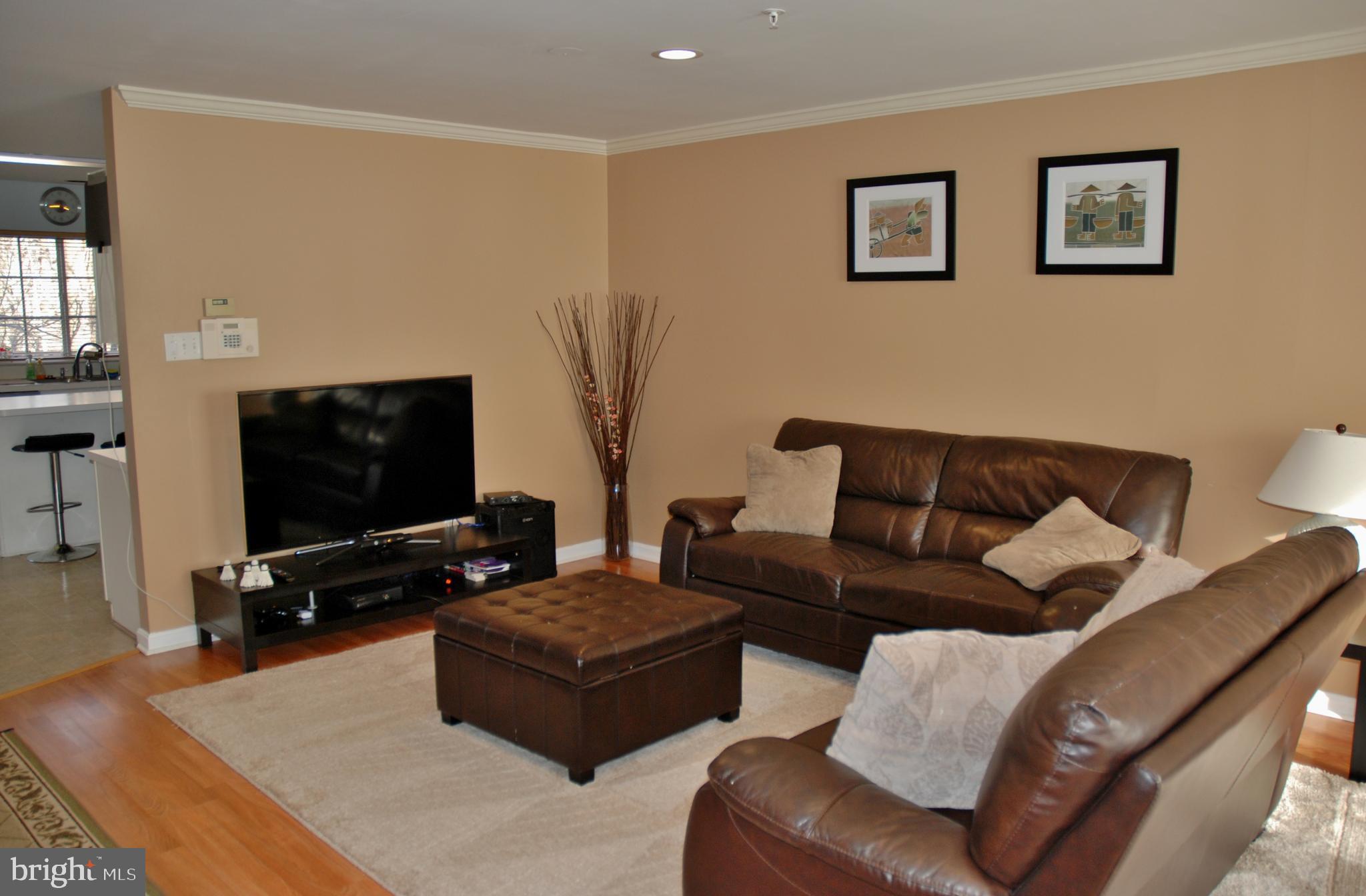 15127 Deer Valley Terrace Silver Spring, MD 20906 - Photo 4 of 29 Living Room