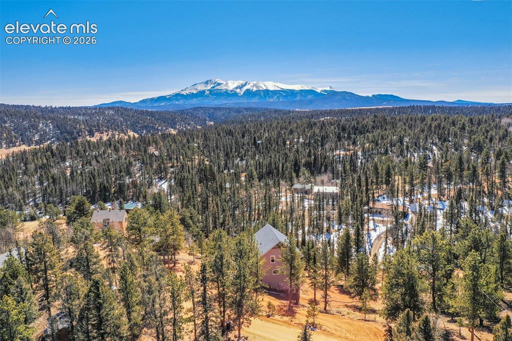 216 Ridge Road Divide, CO 80814 - Photo 5 of 47 Gallery Image 5