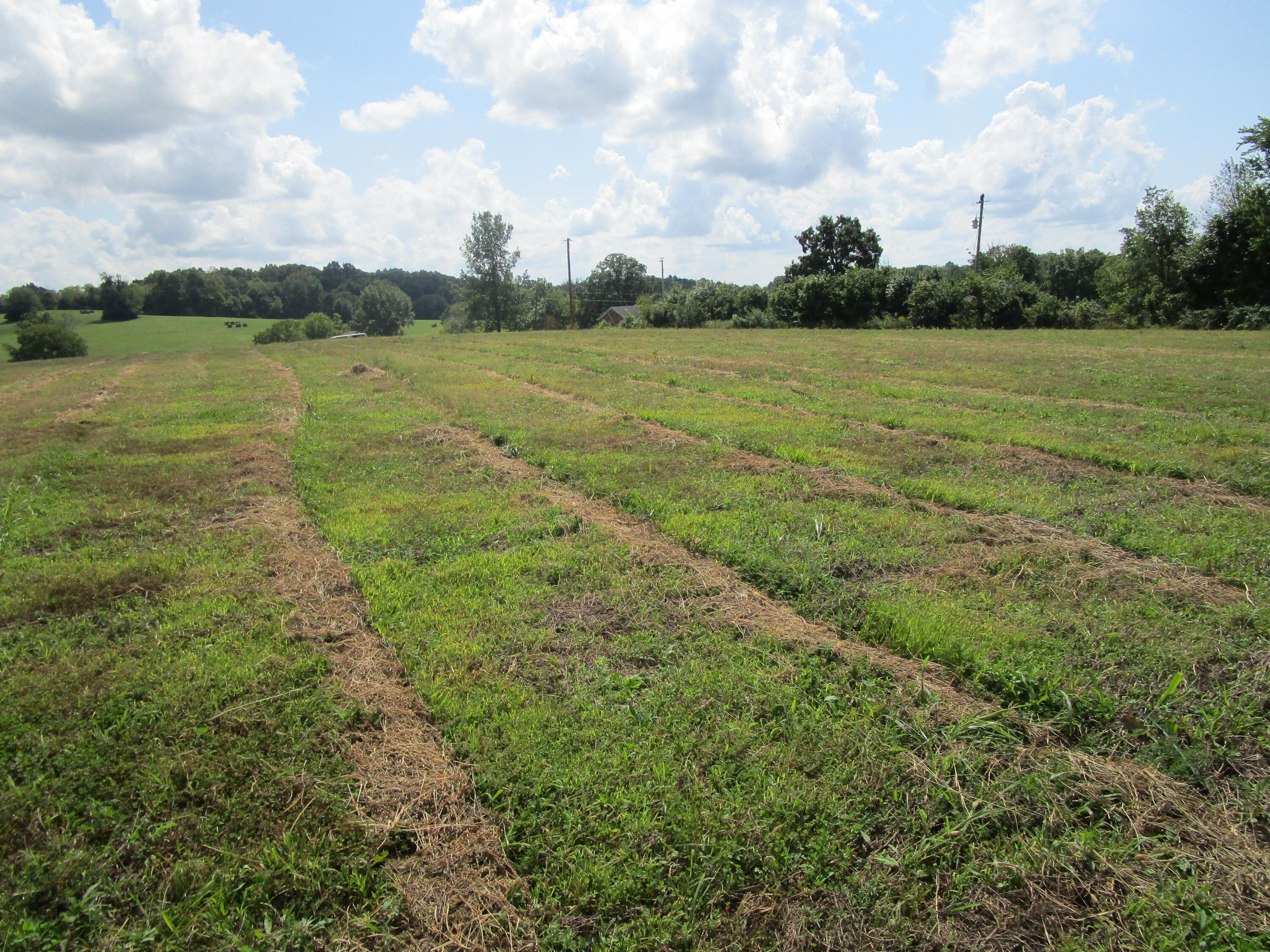 325 Wheat School Road Salvisa, KY 40372 - Photo 5 of 8 IMG_0366