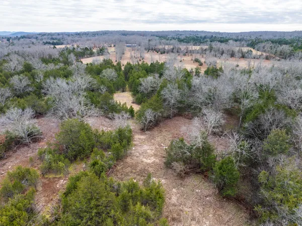 an aerial view of greenery