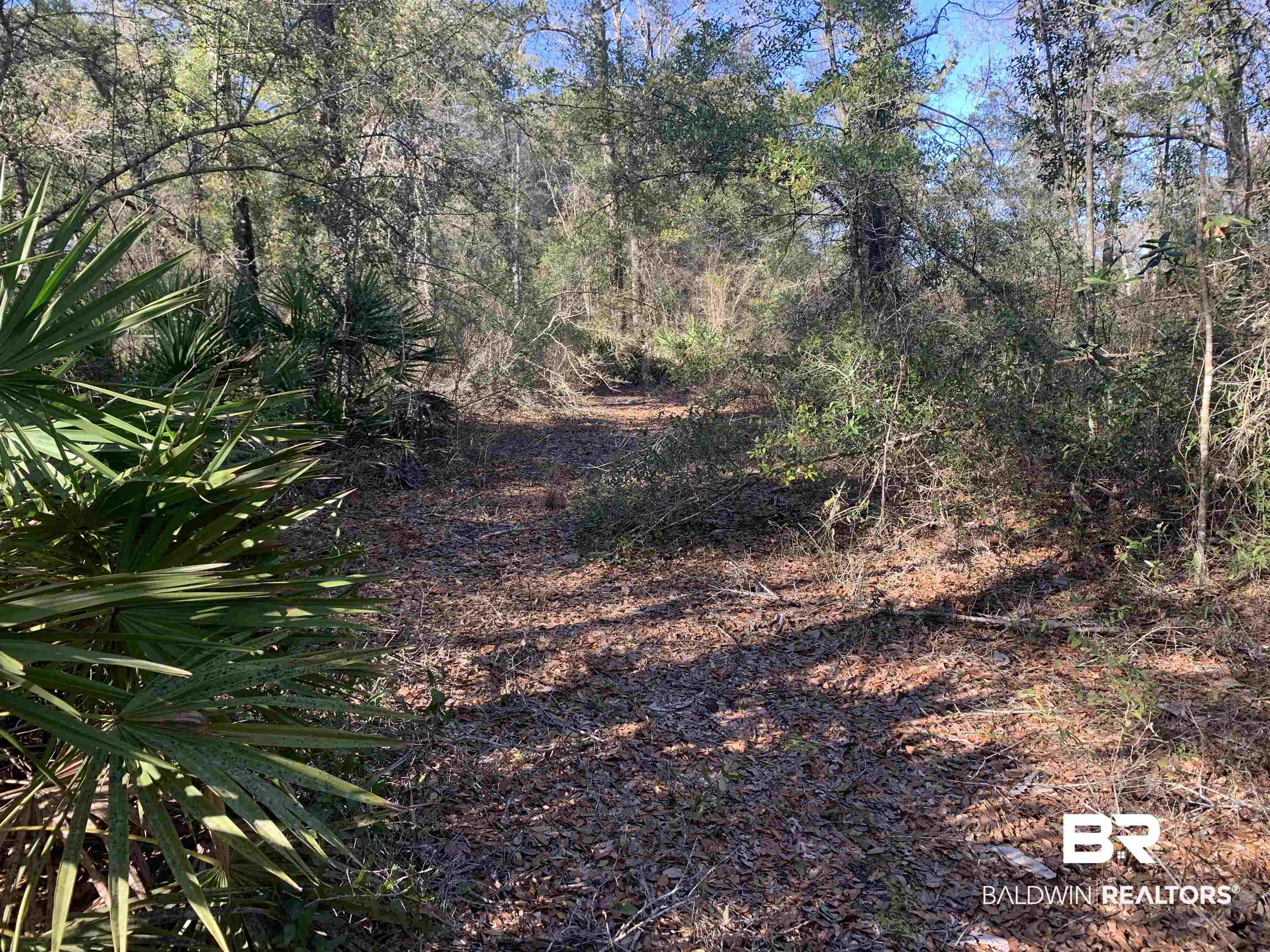 25270 Old Foley Road Elberta, AL 36530 - Photo 7 of 14