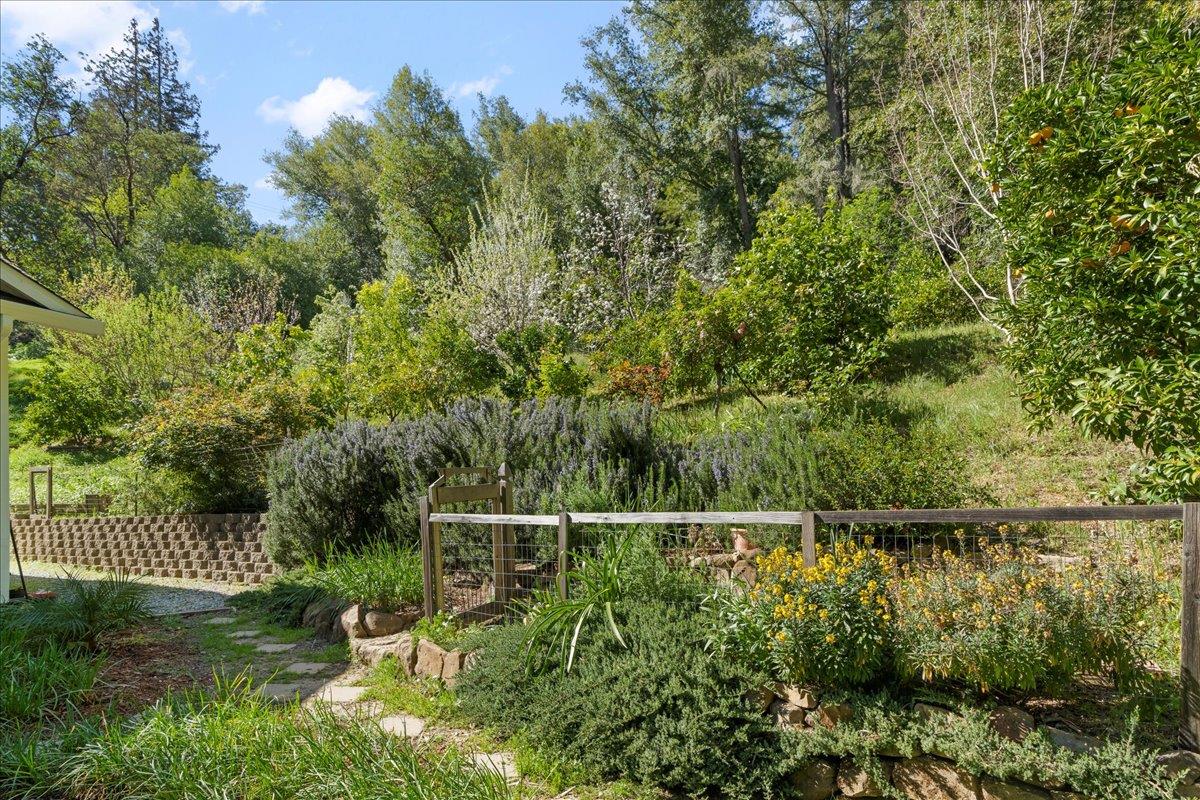 22960 Old Logging Road Los Gatos, CA 95033 - Photo 4 of 52 Gallery Image 4
