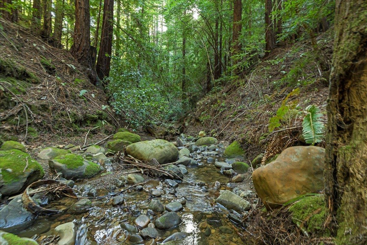 22960 Old Logging Road Los Gatos, CA 95033 - Photo 41 of 52 Gallery Image 41