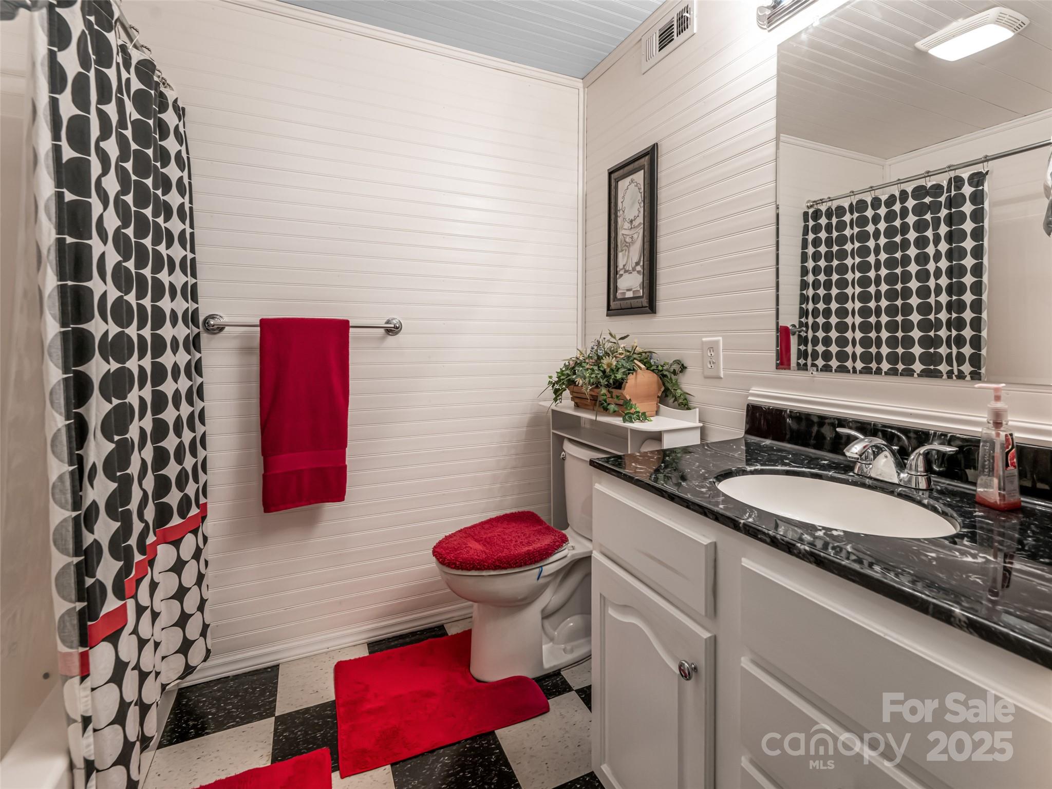 129 Melrose Lake Road Saluda, NC 28773 - Photo 28 of 48 a bathroom with a sink and a mirror