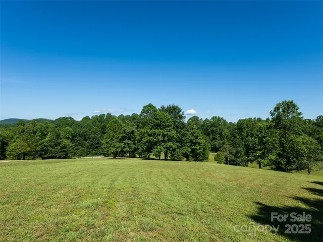 a view of a field with an tree