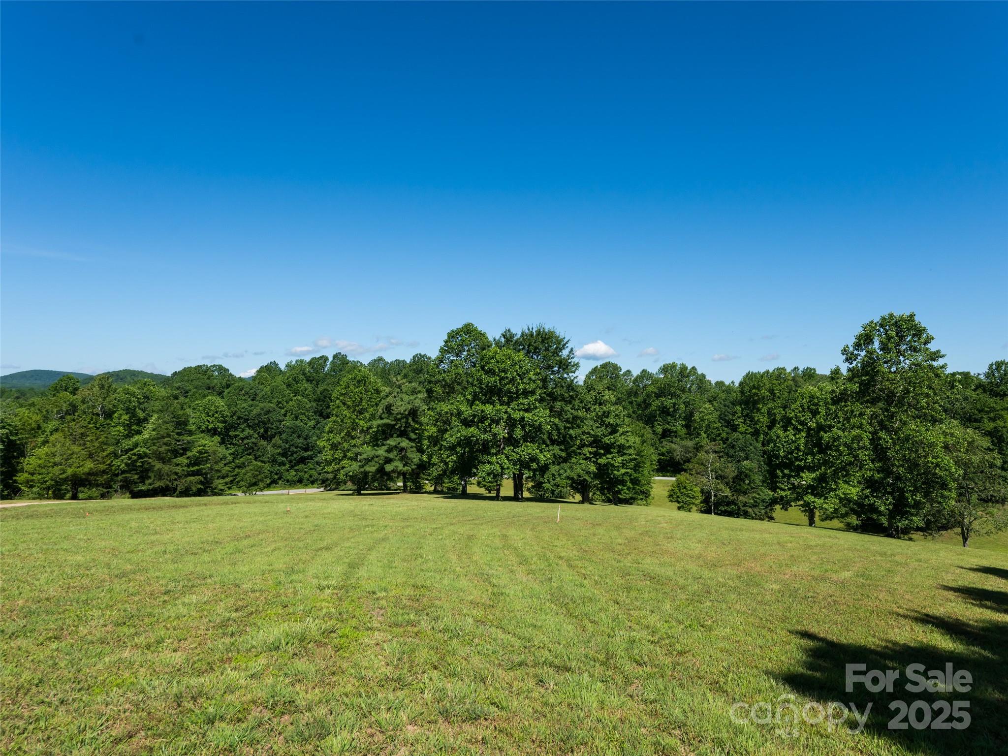 129 Melrose Lake Road Saluda, NC 28773 - Photo 33 of 48 a view of a field with an tree