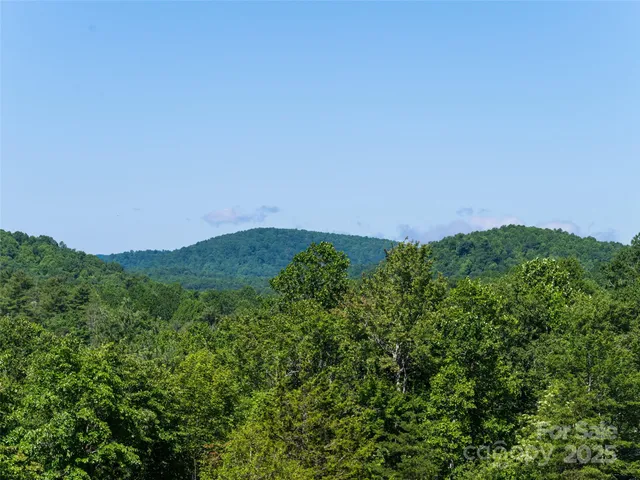 a view of a lush green field
