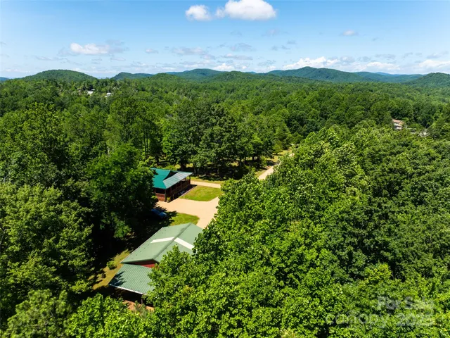 a view of a lush green forest with houses