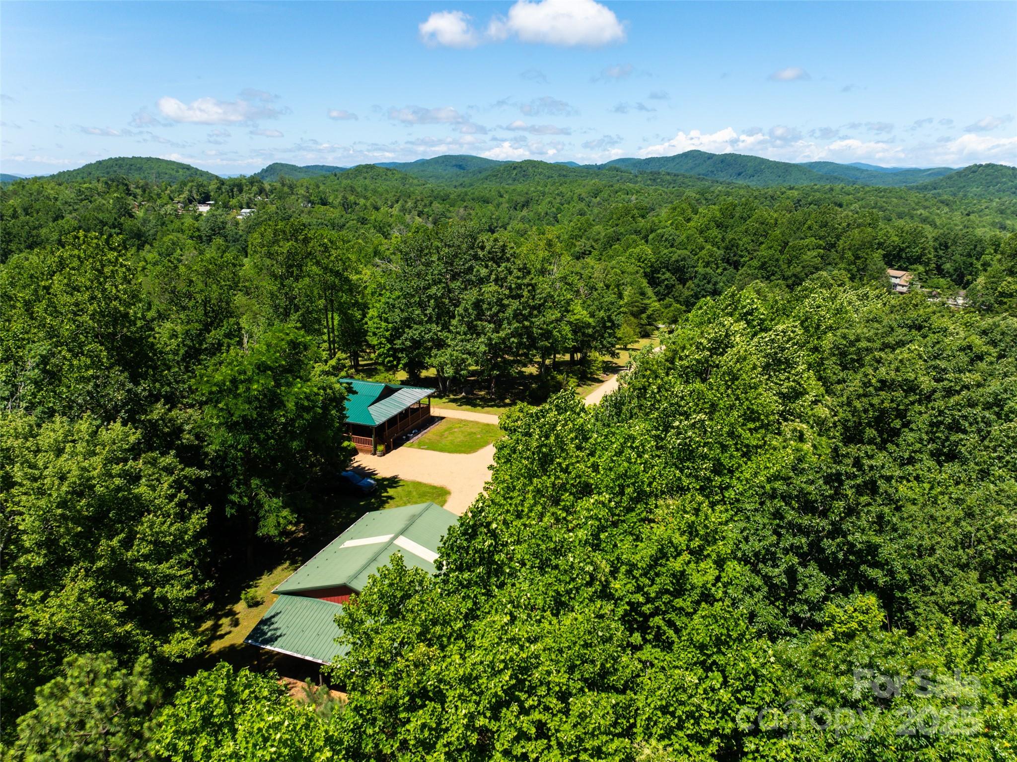 129 Melrose Lake Road Saluda, NC 28773 - Photo 40 of 48 a view of a lush green forest with houses