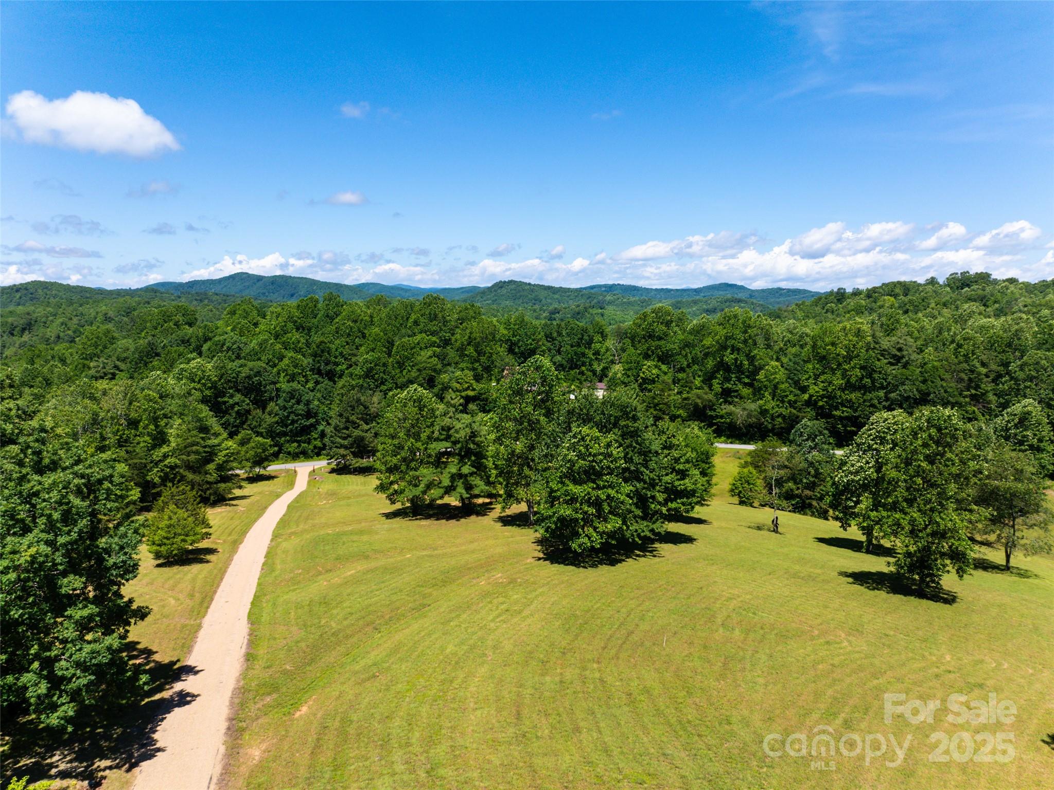 129 Melrose Lake Road Saluda, NC 28773 - Photo 41 of 48 a view of a yard