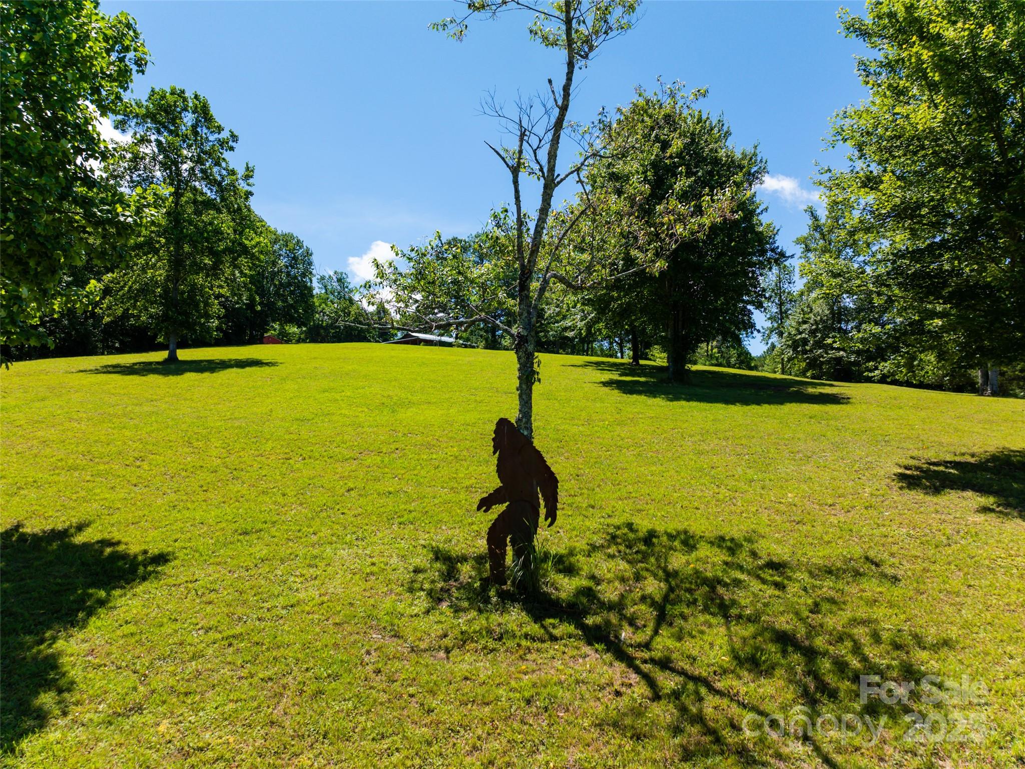 129 Melrose Lake Road Saluda, NC 28773 - Photo 42 of 48 a ocean view