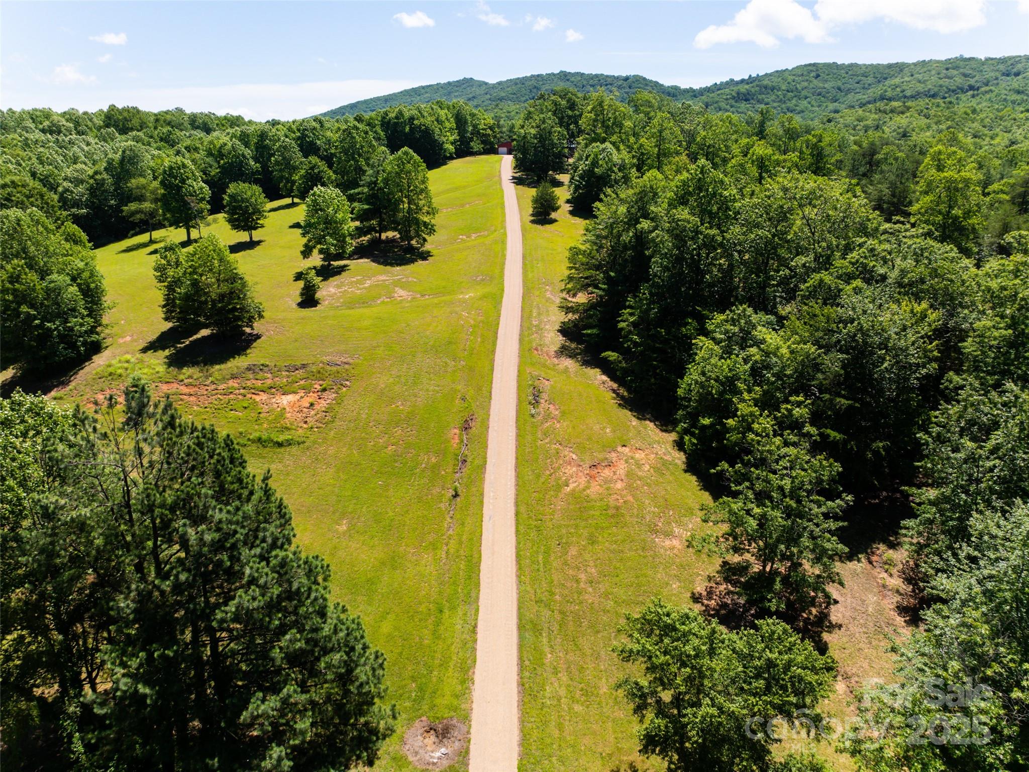 129 Melrose Lake Road Saluda, NC 28773 - Photo 45 of 48 a view of a garden with a building in the background